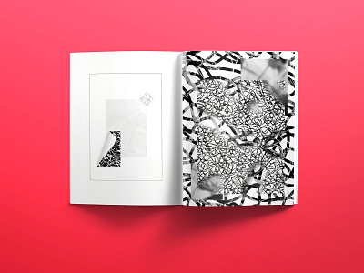 P003 black and white digital manipulation experimental design print design texture visual graphic