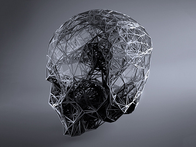 3d Skull