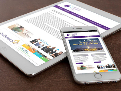Serbian Psyhiatric Association design interface ui ux web design