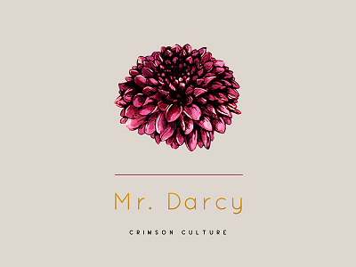 Mr. Darcy digital painting graphic design lable design