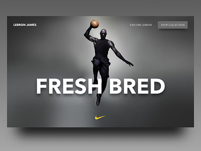 Nike | Fresh Bred basket lebron nba nike