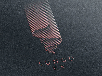 SUNGO-松果窗饰 aurora light logo riband ribbon