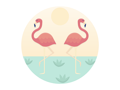 Flamingos