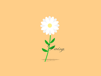 Daisy, design graphic design illustration vector