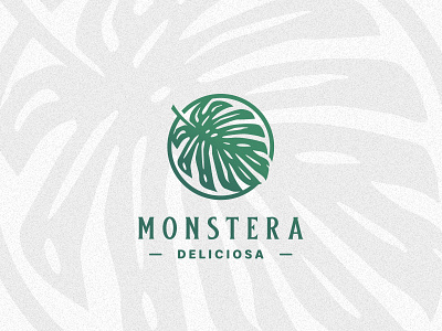 Monstera Deliciosa