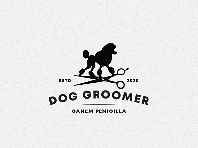 Dog Grooming logo design animal black classic dog dog groomer dog grooming logo pet grooming poodle scissors simple