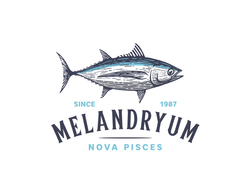 Tuna logo design by Mersad Comaga on Dribbble