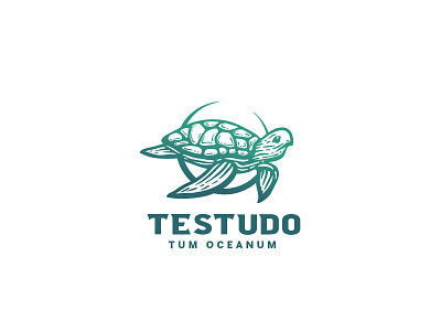 Illustrative turtle logo animal branding classic clothing environment illustration negative space ocean sea sport turtle turtle logo