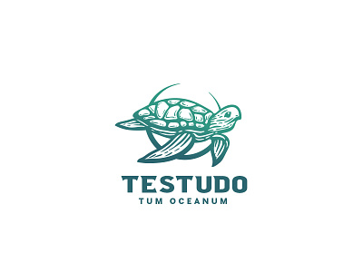 Illustrative turtle logo