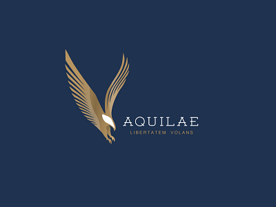 Luxurious eagle logo design animal bird branding classic eagle falcon gold golden hawk illustration logo mark minimal negative space simple