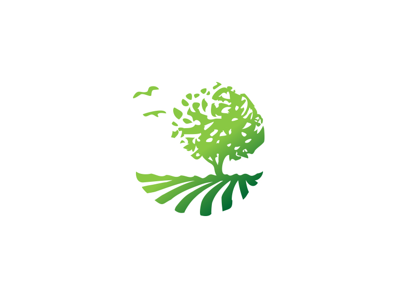 Tree Logo by Mersad Comaga on Dribbble