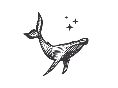 Whale logo animal engraving etching humpback illustration logo mark ocean scratchboard sea whale