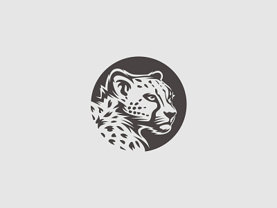 Gepard Designs Themes Templates And Downloadable Graphic Elements On Dribbble