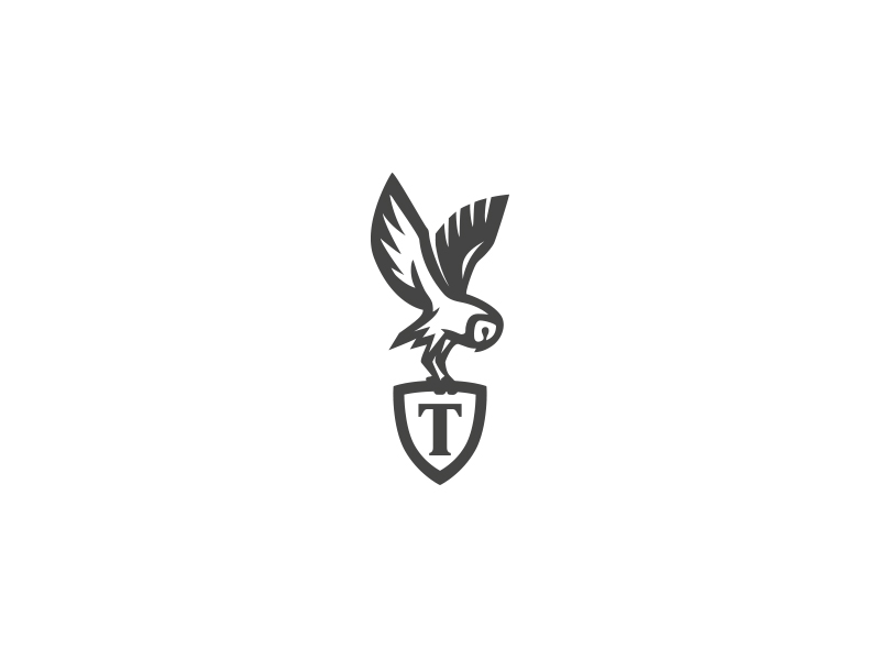 Barn owl logo by Mersad Comaga on Dribbble