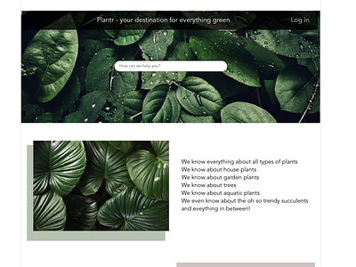 Plant Website Concept design plants ui design user experience user interface ux webdesign website