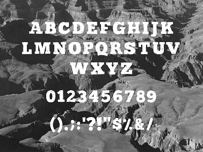 Chuck Wagon Font font hand lettering slab serif type typeface typography