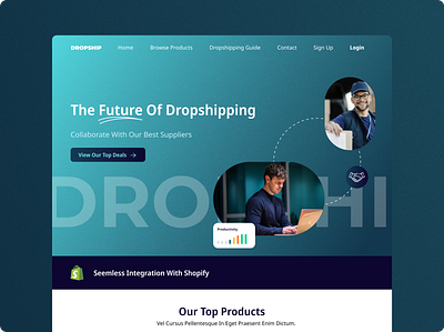 Dropshipping website design design ui ux website