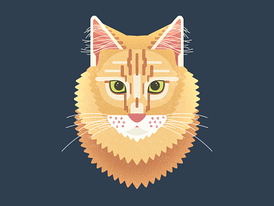 Pumpkin cat illustration kitty noise pet portrait symmetrical symmetry texture vector