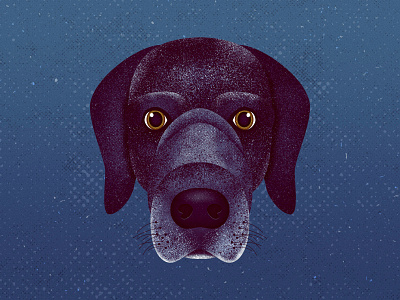 Jack dog dog illustration grit illustration pet pet portrait portrait texture vector