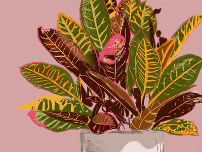 Croton Mom bright colors croton digital art digital drawing digital painting gouache illustration plant