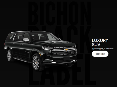 Bichon Black Label car rental transport web design web development