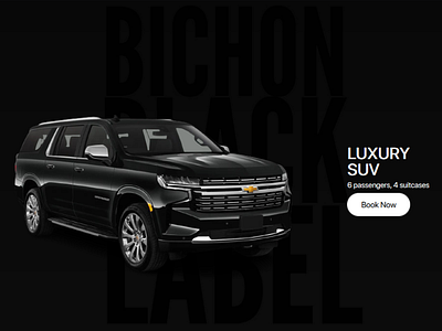 Bichon Black Label car rental transport web design web development