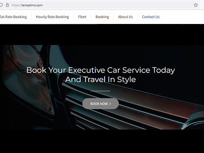 Los Angeles Airport branding car rental design ui uxui web design web development