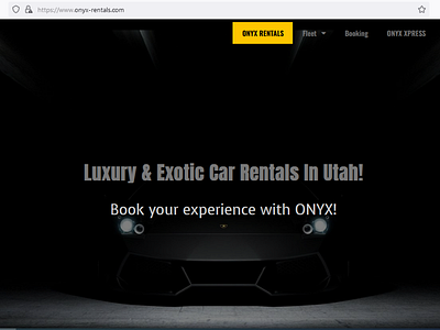 ONYX branding design uxui web design web development