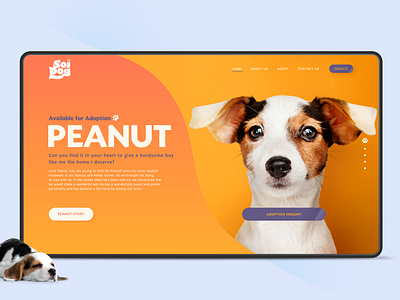 Soi Dog adoption branding design dog donate logo mobile ui ux