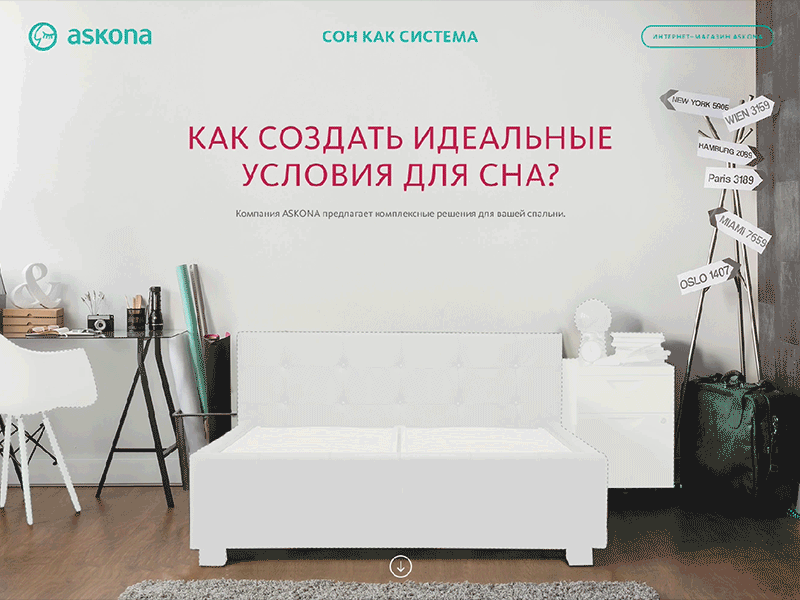 Askona dribbble