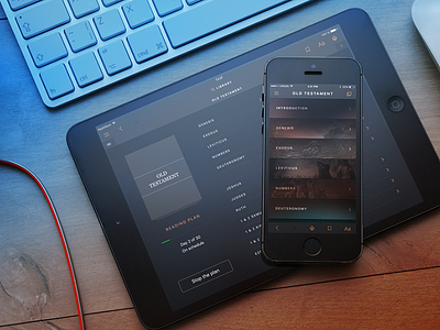 Night reading scheme app dark flat ios ipad iphone mobile simple ui ux