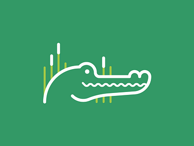 Aligator aligator animal crocodile green reptile