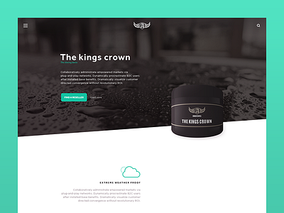 Product Page WIP black iconography icons mint packaging product ui video web white wip