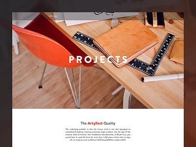Project Overview page agency case studies photography projects ui ux web
