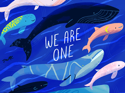 We Are One animals art design drawing editorial illustration kidlit ocean ocean life whale whales