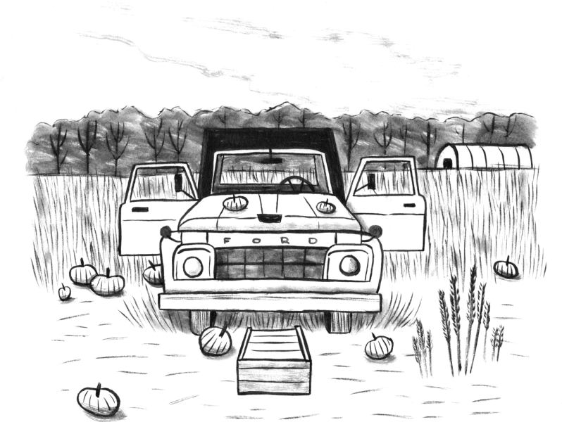 Inktober Day 20 art drawing farm illustration ink inking inktober landscape pumpkin truck