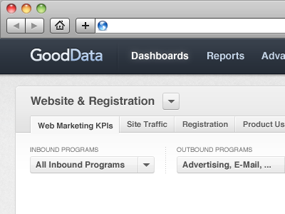 GoodData Dashboard View Mode application blue dashboard grey header web app