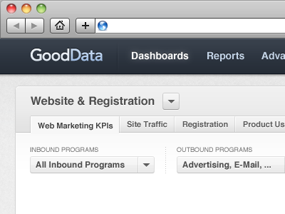 GoodData Dashboard View Mode