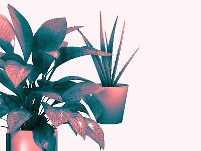 Potted Plants art colour illustration love minimal nature texture