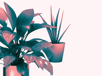 Potted Plants