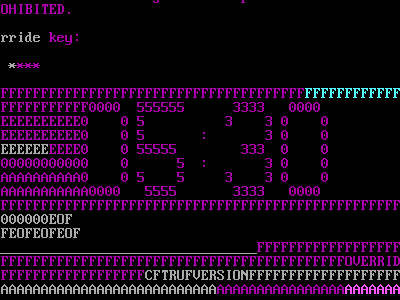 Terminal C 80s 90s ansi ascii dos ega ms dos text mode