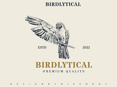 Birdlytical Hand Drawn Logo