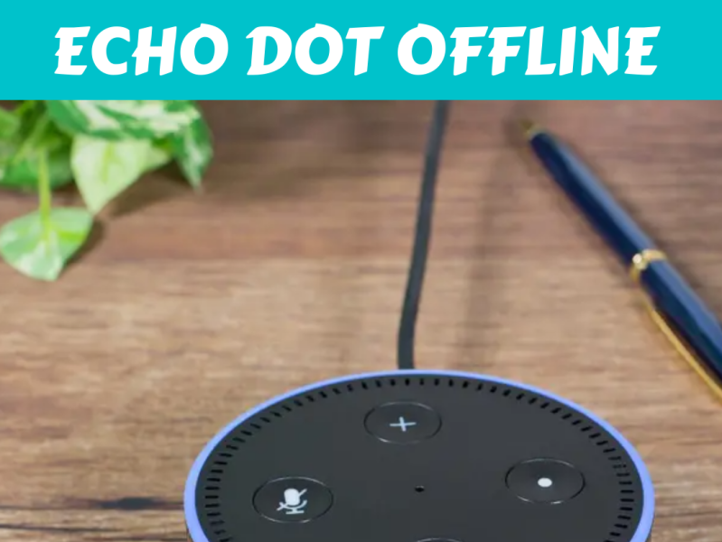 How to Fix Echo Dot Offline Issue ? by smartspeakerhelp on Dribbble