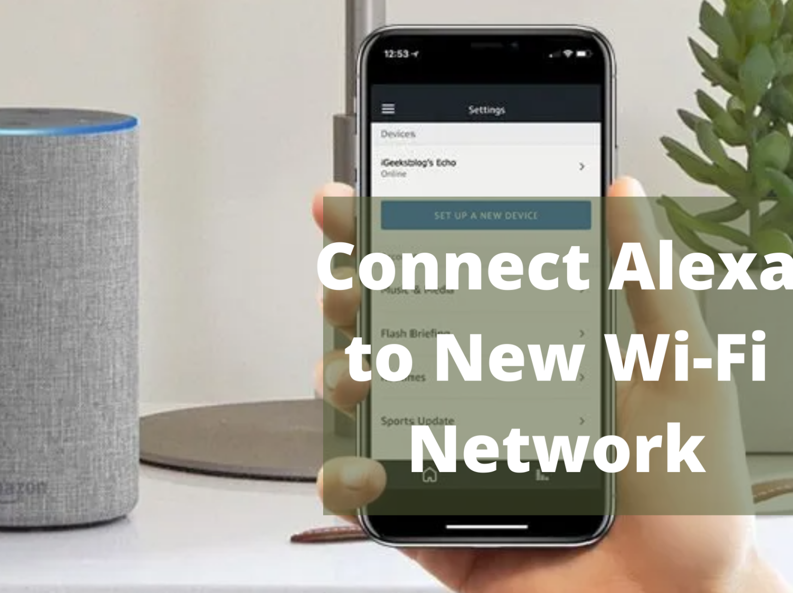 steps-to-connect-alexa-to-new-wi-fi-by-smartspeakerhelp-on-dribbble