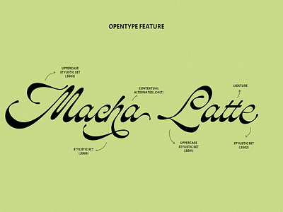 ED Mentasta feature branding elegant font lettering minimalist opentype type type design typeface typography