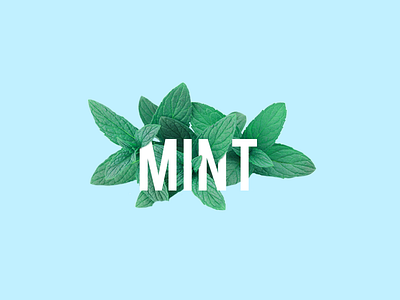 Mint design mint type typography