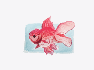 goldfish watercolor art illustration painting watercolor