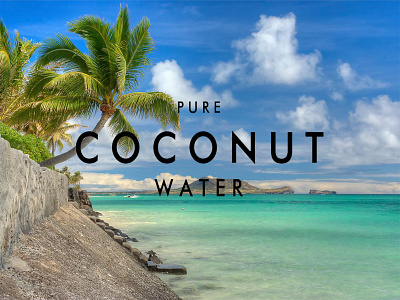 Pure Coconut Water background brand branding branding design flat design logo logo design typo typo design wallpapper