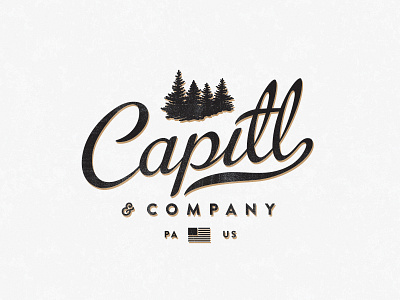 Capitl & Co (Revisions)