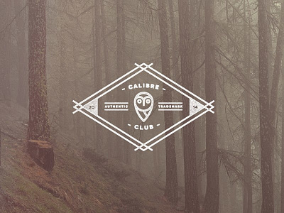 Calibre Club - Vision Over Sight apparel badge clothing icon label logo owl pin poster typography vintage vision